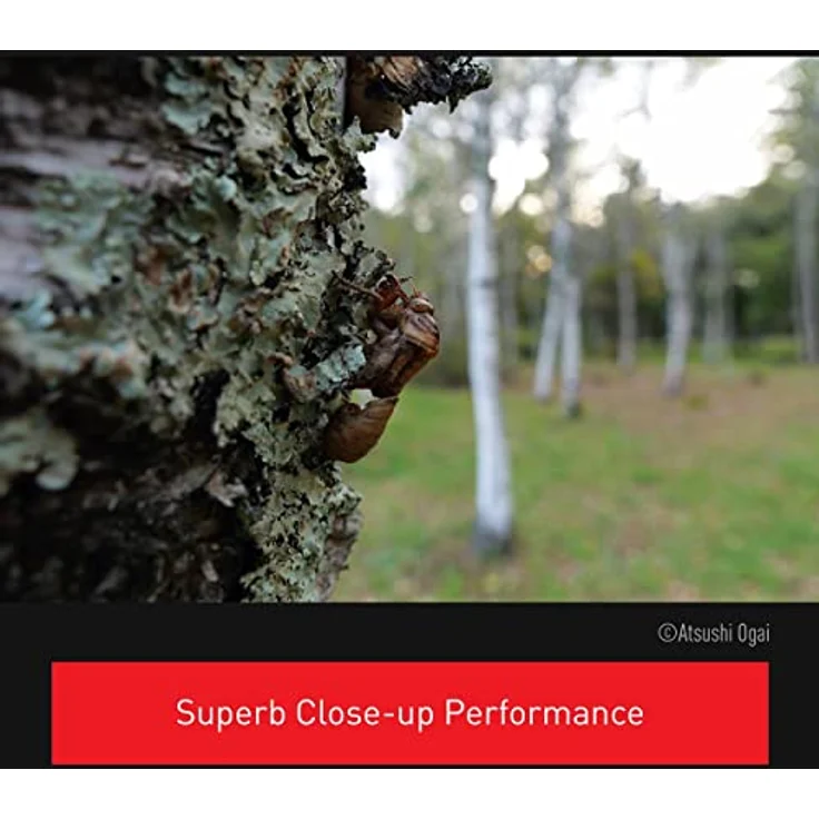 Panasonic Lumix H-ES12035 Leica DG Objektiv, 12-35 mm Brennweite, F2.8 ASPH Blende, ideal für Videos, Makroobjektiv, Weitwinkel, mittleres Objektiv. – Bild 4