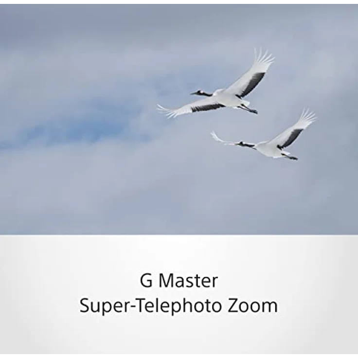 Sony SEL-100400GM G Master Super Telezoom Objektiv (100-400 mm, F4.5-5.6, OSS, Vollformat, geeignet für A7, A6000, A5100, A5000 und Nex Serien, E-Mount) weiß – Bild 5