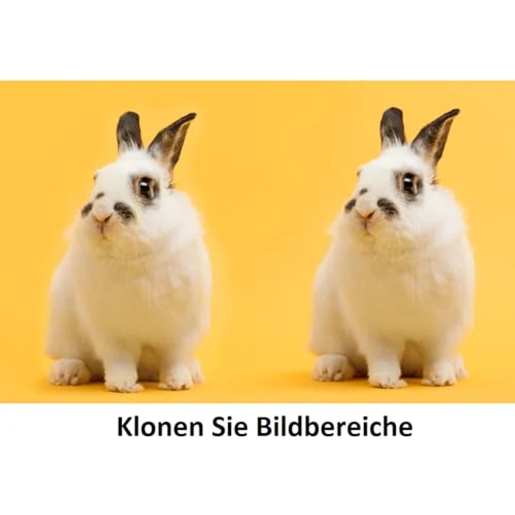 Markt + Technik Digitale Schere 2 – KI-gestützte Bildbearbeitung für Win 11/10, unerwünschte Objekte entfernen, Porträt-Retusche & Panorama-Korrektur – Bild 3