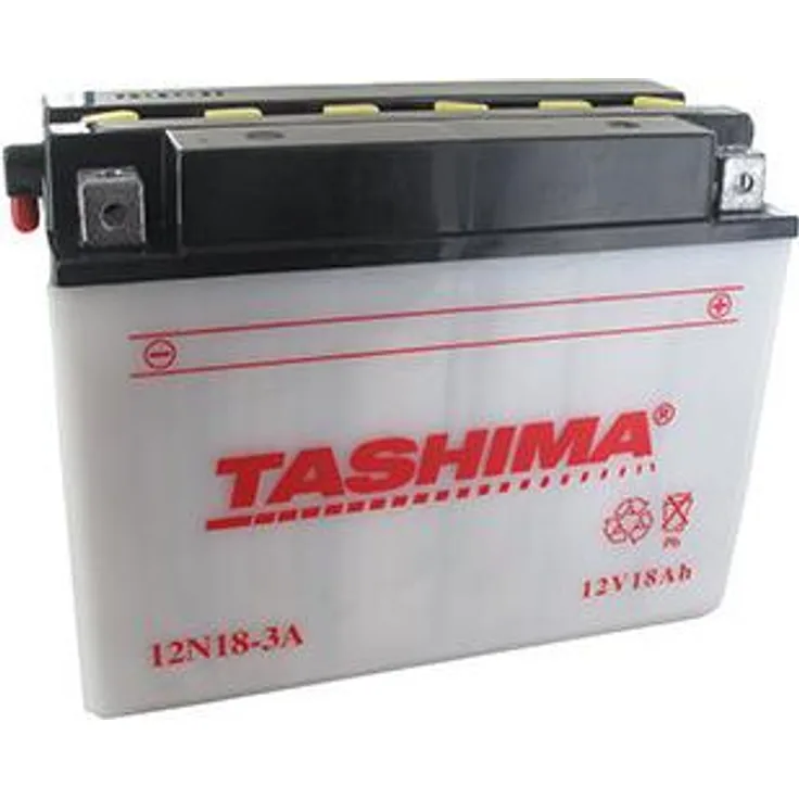 Tashima 12V Blei-Batterie 18Ah, geeignet für Rasentraktor, Abmessungen L: 206 mm, B: 91 mm, H: 164 mm, + rechts