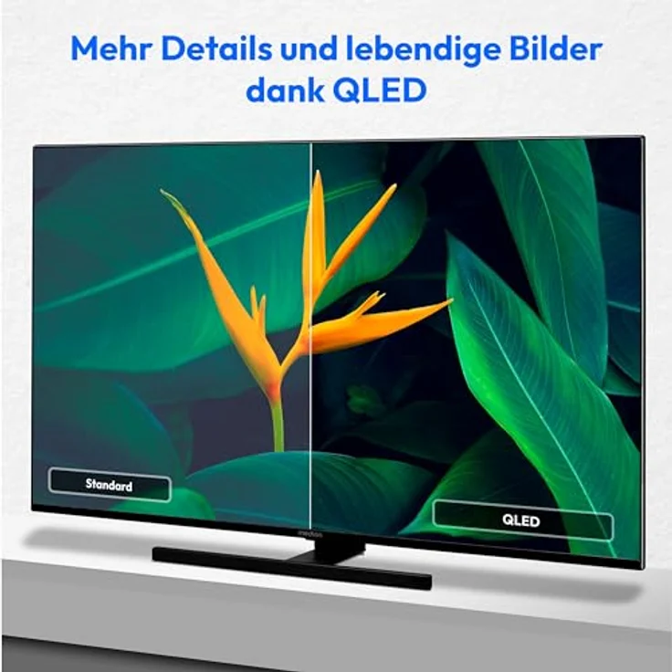 MEDION X14307 (MD 31170) 108 cm (43 Zoll) QLED Fernseher (Android TV, 4K, Dolby Vision HDR, Dolby Atmos & DTS X, Netflix, Prime Video, Smart TV, Google Chromecast & Assistant) in elegantem Schwarz – Bild 4