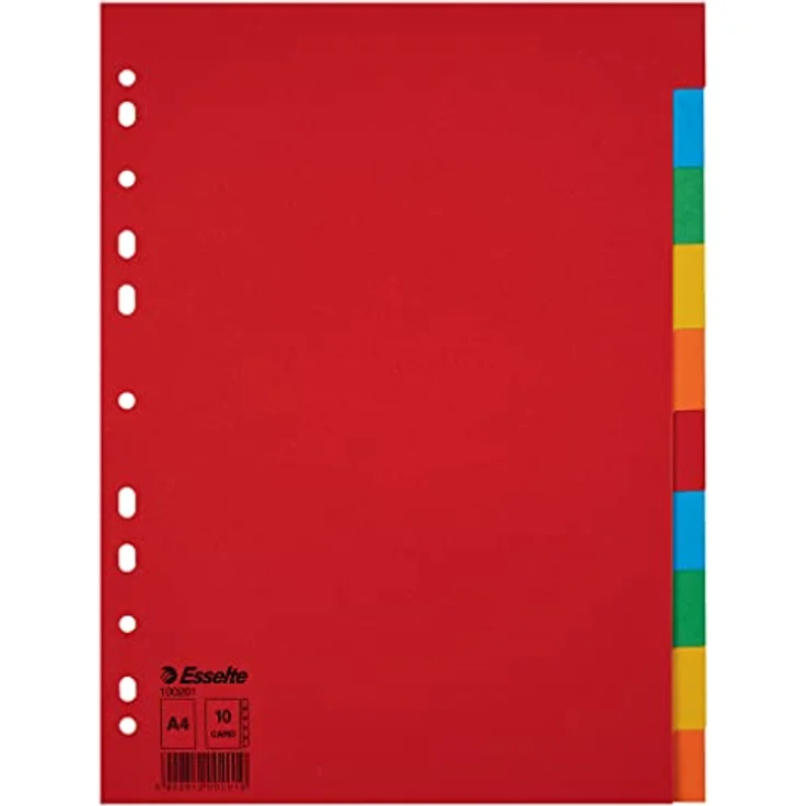 ESSELTE Aktenordner für A4, 10 Blatt, Karton, ohne Deckblatt, kräftige Farben (225x297 mm) – Bild 2