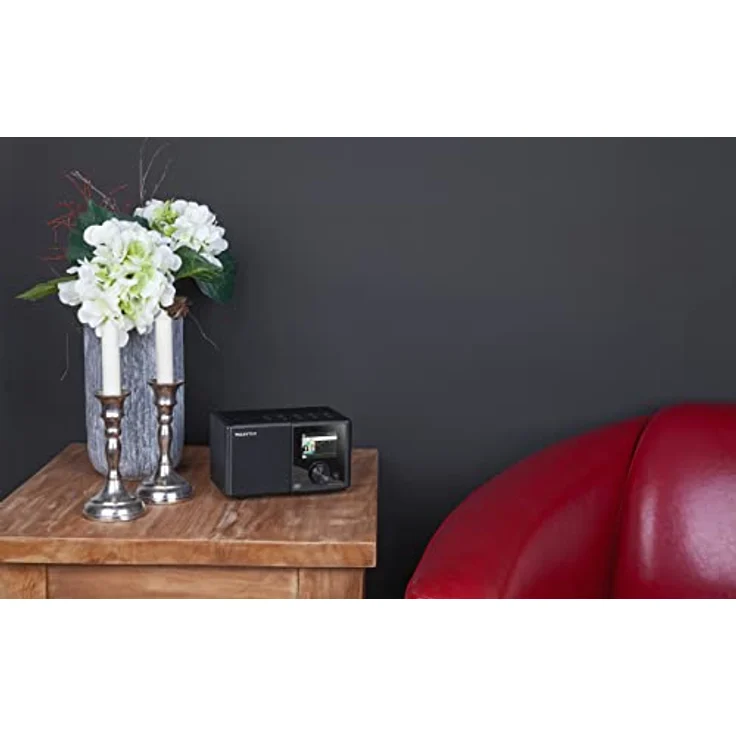 Telestar DIRA M 11i + - DAB+ Digitalradio & Internetradio (UKW/FM/DAB/DAB+ / Internet, WLAN, Mono Radio, EWF Notfallwarnsystem, USB Aufnahmefunktion, Bluetooth, Streamingdienste) schwarz – Bild 5