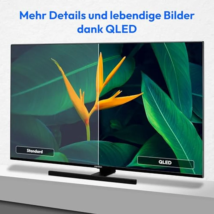 MEDION X15032 (MD 31411) 125,7 cm (50 Zoll) QLED Fernseher (Fire TV, 4K Smart TV, Dolby Vision HDR, Dolby Atmos, Netflix, Prime Video) – Bild 4