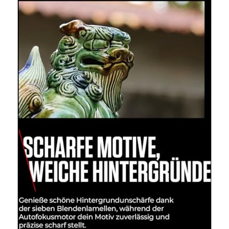 Canon RF 75-300mm F4-5.6, Telezoomobjektiv mit leichter Bauweise für Sport- und Naturaufnahmen – Bild 6