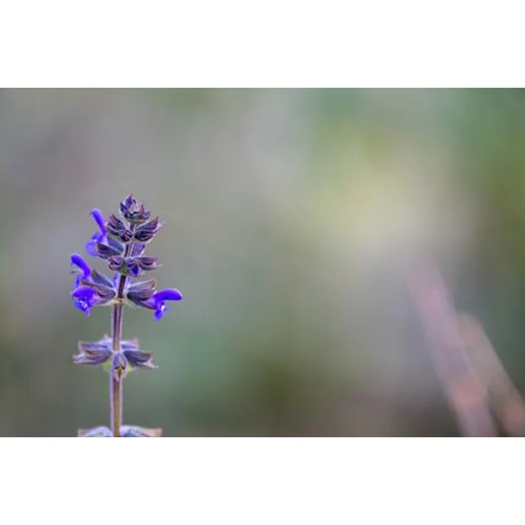 TAMRON 150-500mm F/5-6.7 Di III VC VXD – Bild 4