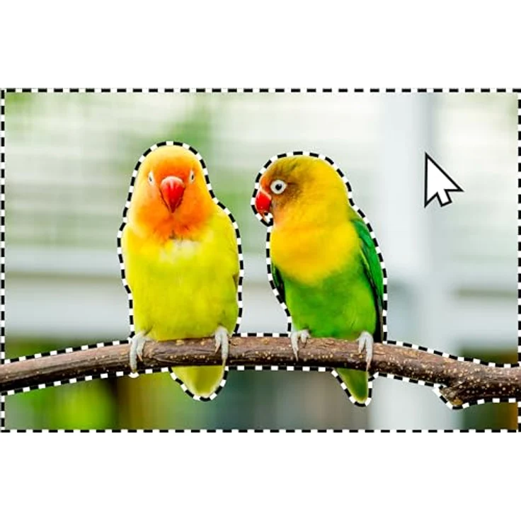 Adobe Photoshop Elements 2024|Standard |1 Gerät | PC/Mac | unbefristet | Box inkl. Aktivierungscode – Bild 5