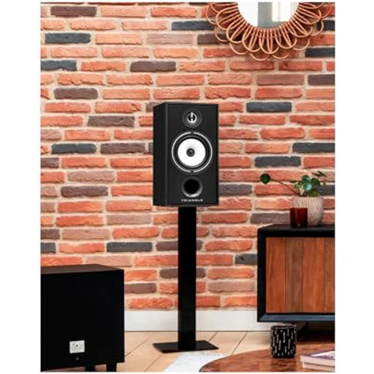 TRIANGLE BOREA BR04, Hi-Fi-Regallautsprecher mit 110W Leistung, 90 dB Wirkungsgrad, Schwarz (Paar) – Bild 2
