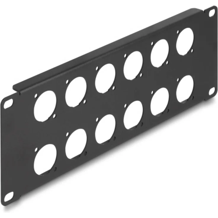 Delock 88054 Patch-Panel 2 HE, Schwarz für 10" Geräteschrank, passend für 12 D-Typ Module