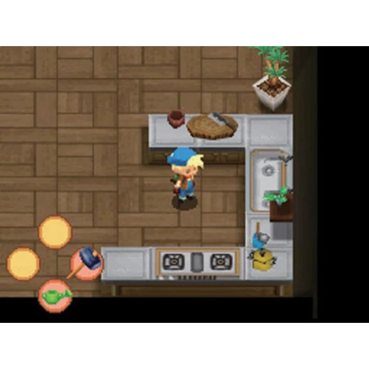 Harvest Moon (DS) – Bild 8