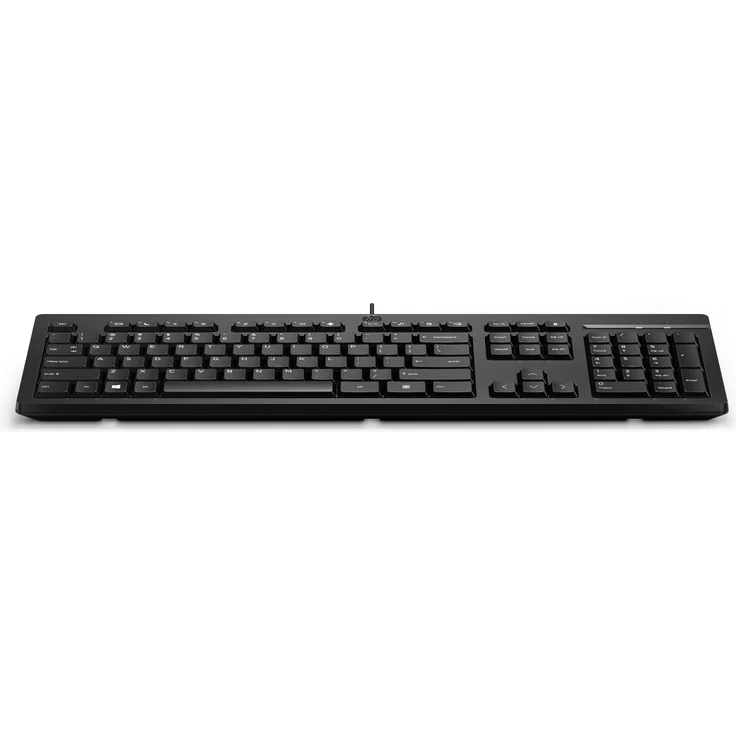 HP Inc Hp 125 Usb Keyboard Italy (266C9Aa#Abz) - Italienische USB-Tastatur, kompatibel mit HP 34, Elite Mobile Thin Client mt645 G7, Laptop 15, Pro Mobile Thin Client mt440 G3
