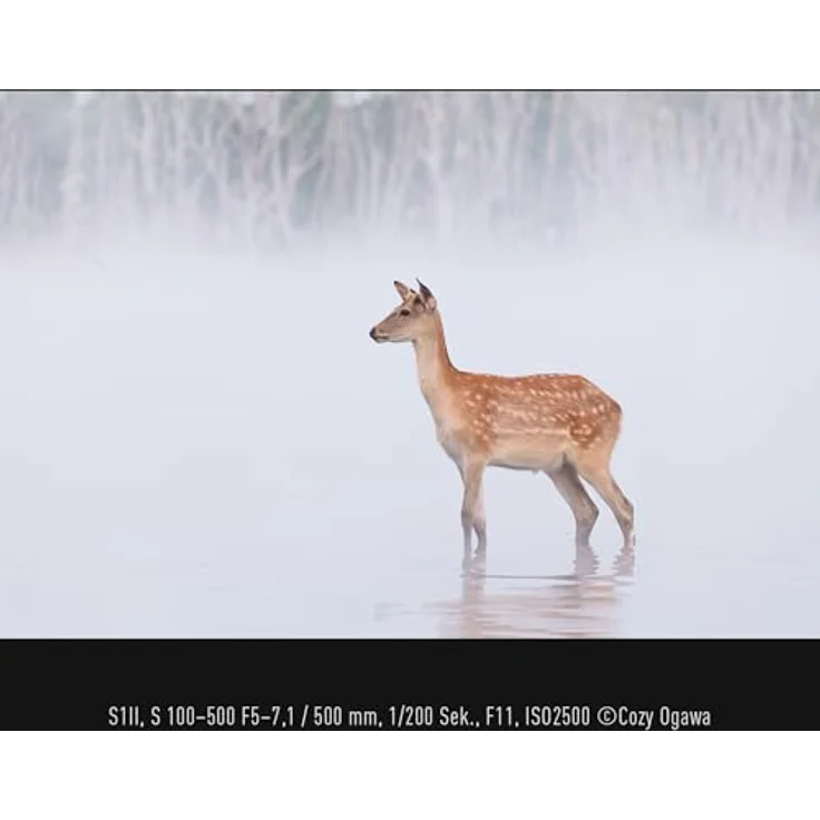 Panasonic LUMIX S-R100500E, Telezoom-Objektiv 100-500 mm F5-7.1 O.I.S., wetterfest, 0,8 m Naheinstellgrenze, anpassbarer Fokusring, Schwarz – Bild 2