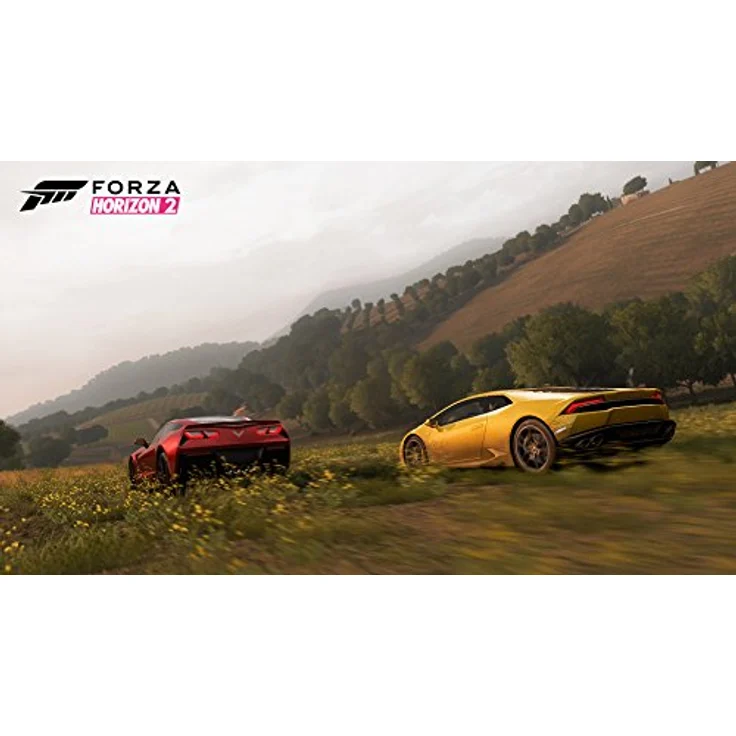 Forza Horizon 2 (Xbox 360) – Bild 3