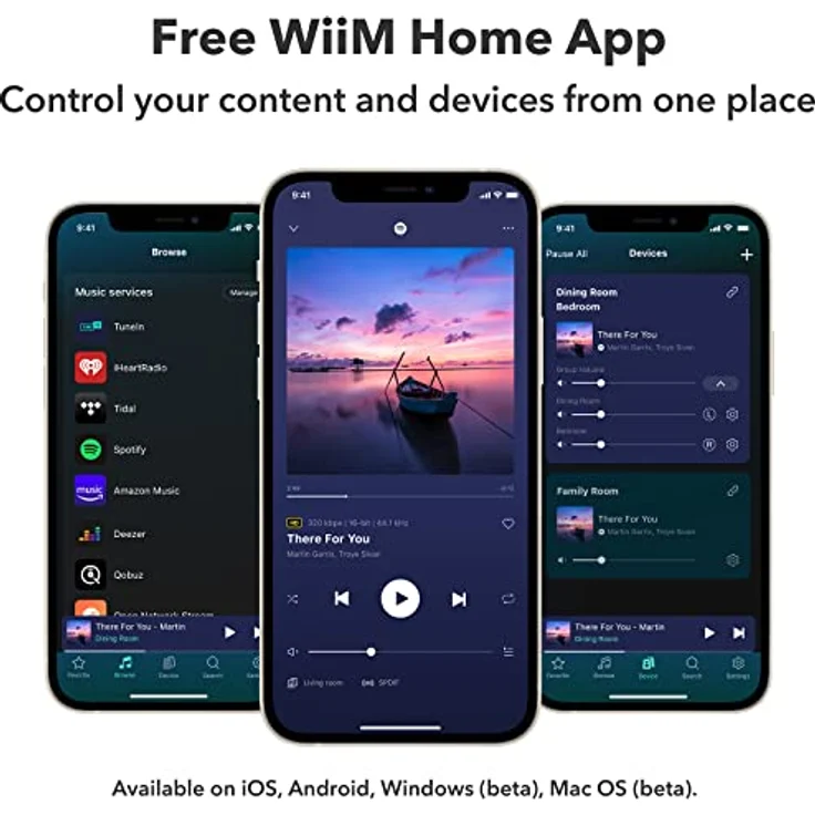 WiiM Pro AirPlay 2 Receiver, Chromecast Audio, WiFi Multiroom Streamer, funktioniert mit Alexa, Siri und Google Assistant, streamt Hi-Res Audio von Spotify, Amazon Music, Tidal und mehr – Bild 5