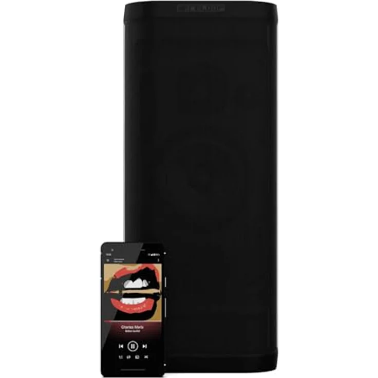 Reloop Groove Blaster BT Lautsprecher AUX, NFC, USB Schwarz - Preisvergleich – Bild 3