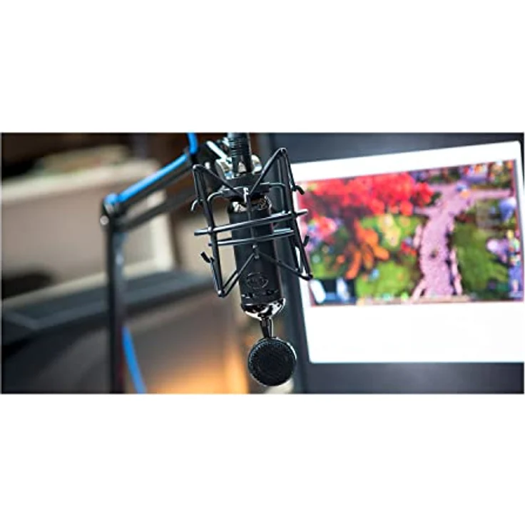 Blue Spark Blackout SL XLR Kondensatormikrofon Für Professionelle Aufnahme- Und Streaming-Anwendungen – Bild 4