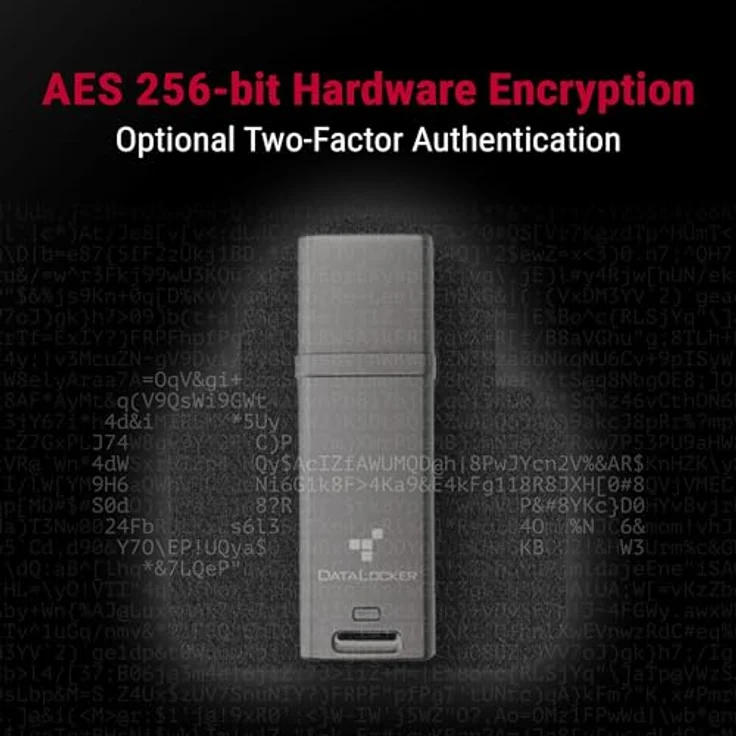 Origin Storage DataLocker DL GO, 16 GB, USB Typ-A, 3.2 Gen 2, 160 MB/s, AES 256-Bit Verschlüsselung, Grau – Bild 2