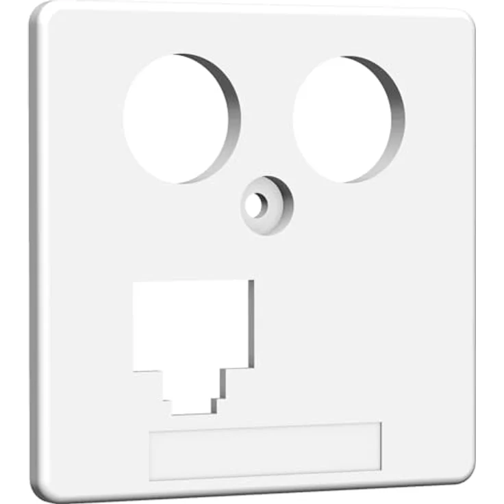HOMEWAY HW-ZP-EK13S 8/8 RJ45 Zentralplatte TV+LAN 50mm rw - Preisvergleich – Bild 3