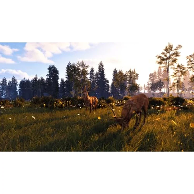 Mindscape Ostwind: Beginn einer wunderbaren Freundschaft Remastered, PS5-Spiel mit aktualisierten Naturszenen und neuem Fotomodus – Bild 3