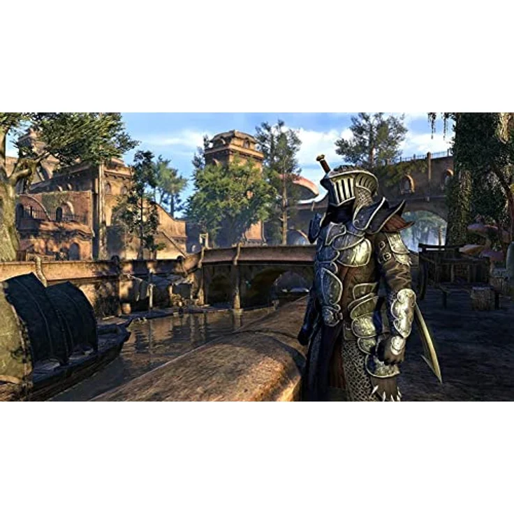 The Elder Scrolls Online (inkl. Morrowind) [inkl. Next-Gen-Upgrade] [PlayStation 4] – Bild 4