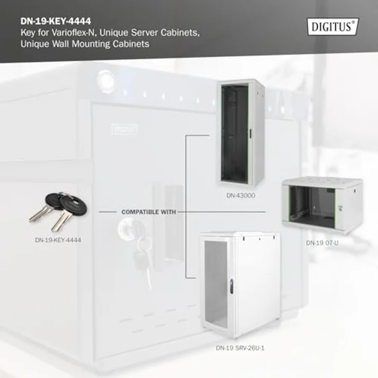 DIGITUS Ersatzschlüssel für Varioflex-Netzwerkschränke, Unique-Wandgehäuse & Serverschränke und IP55-Wandgehäuse - Zwei Stück - Schwarz/Silber – Bild 2