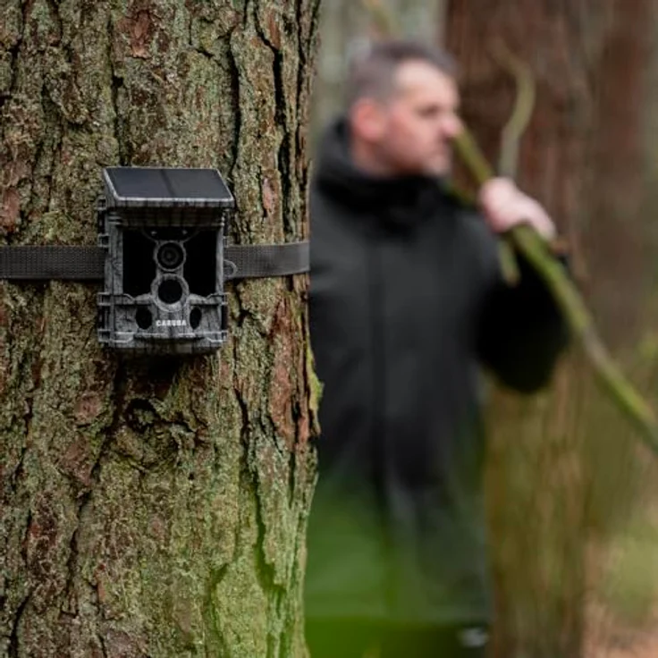 Caruba Wildlife Kamera Waschbär Solar 4K, 4K Wildcamera mit 46 MP Fotos, WiFi und Bluetooth, wetterfest – Bild 5