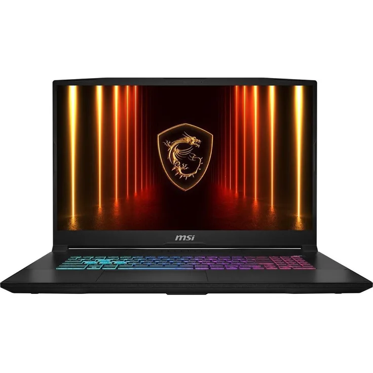 MSI Katana 17 HX B14WFK-227, 17,3" FHD Gaming-Notebook, i7-14650HX, 16GB RAM, 1TB SSD, RTX 5060, Windows 11, Schwarz