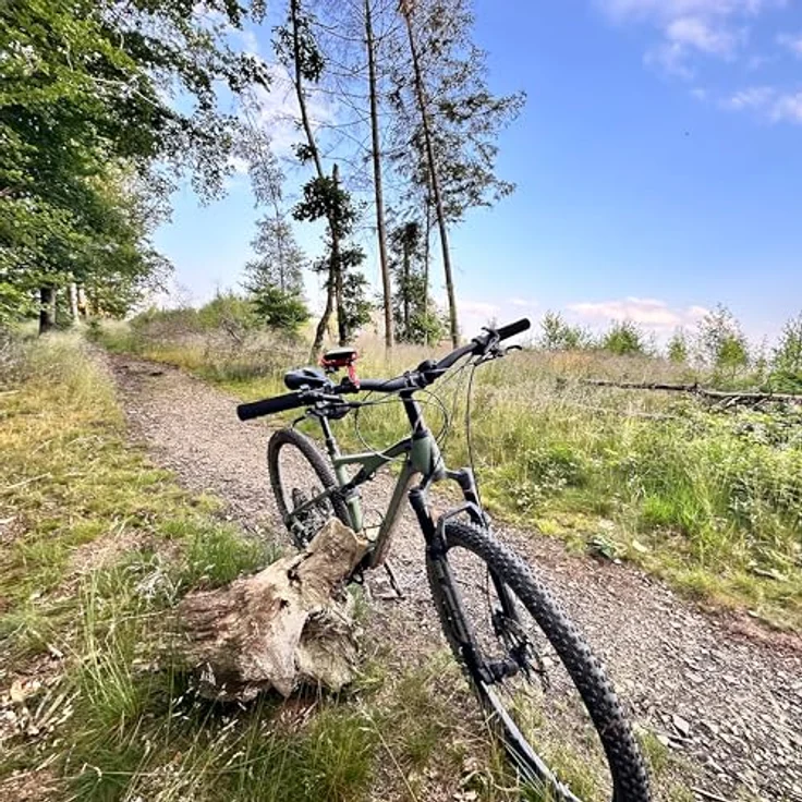 My Wall HR22L, Handyhalterung Fahrrad für Smartphones bis 75mm Breite, simples Design mit Drehgelenk für Hoch- und Querformat – Bild 4