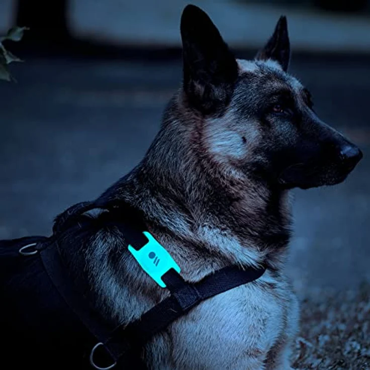 Case-Mate Hundehalsband Halterung Transparent AirTag – Bild 5