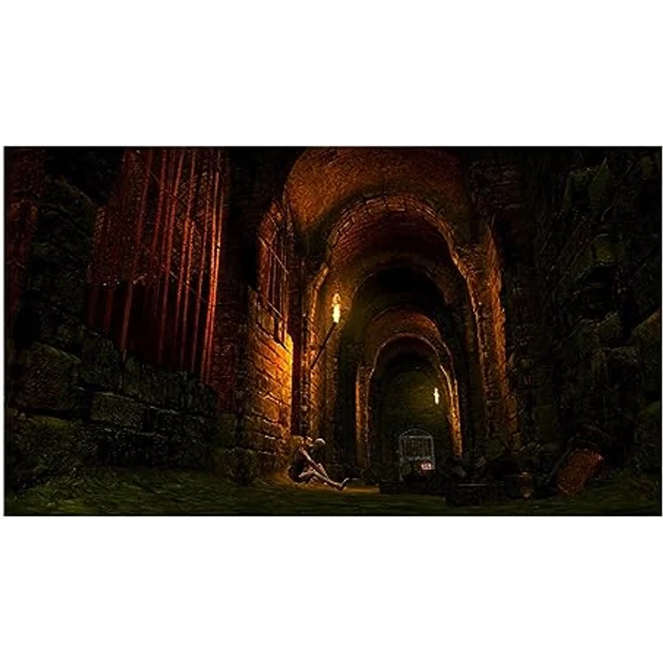 Dark Souls Trilogy PS4 - Preisvergleich – Bild 3