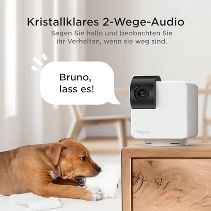 Petcube Cam 360 interaktive Haustierüberwachungskamera, WiFi, 1080p, 360° Rundumsicht smarte Haustierkamera von Petcube – Bild 4