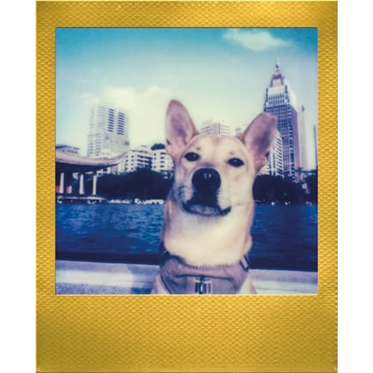 Polaroid Go Farbfilm – Goldrahmen Doppelpack mit 16 farbigen Sofortfotos, kompatibel mit Polaroid Go-Kamera – Bild 5