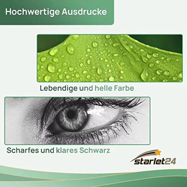 D&C 10er-Set D&C Tintenpatronen ersetzt Canon 550/551 (BK/PB/C/M/Y) – Bild 5