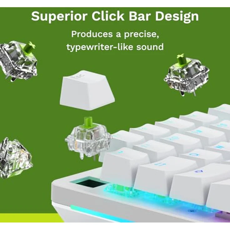 Glorious Raptor Standard Switch, mechanisch, 5-Pin, clicky, MX-Stem, 55g - lubed, 36 Stück, Schwarz – Bild 4