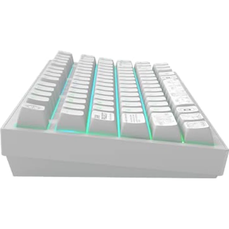 Dark Project Terra Nova R2, Kabellose Gaming-Tastatur mit G3MS Moonstone Switch, ANSI US Layout, Weiß – Bild 4