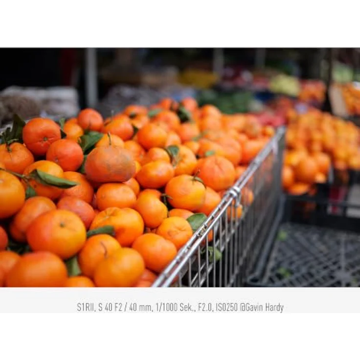Panasonic Lumix S 40mm F/2.0, Vollformat-Festbrennweitenobjektiv mit weichem Bokeh und 30 cm Nahfokus, staub- und spritzwassergeschützt – Bild 5