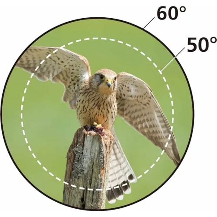 Nikon Action 12x50 Fernglas, leicht zu bedienen, für Brillenträger geeignet, optimal für Wanderungen und Naturbeobachtungen – Bild 3