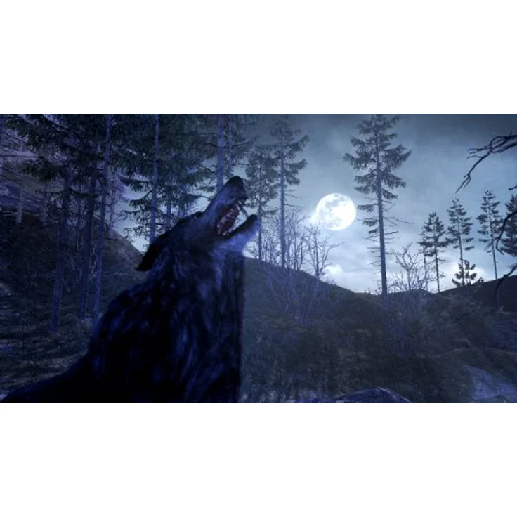 ACTIVISION Cabelas Dangerous Hunts 2011, Nintendo Wii-Games aus den Vereinigten Staaten – Bild 5