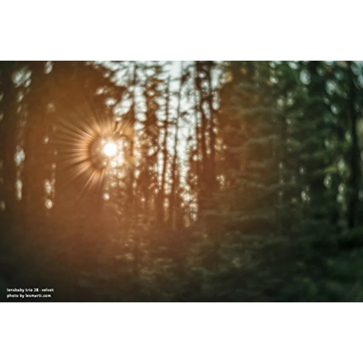 Lensbaby LB-8F Trio 28 für Anschluss Fuji X schwarz – Bild 5