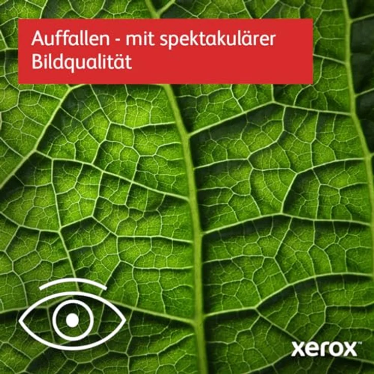 Xerox B410dn Schwarz und Weiß Laserdrucker mit Duplex 2-seitigem Druck, 47ppm A4, kompakt und benutzerfreundlich – Bild 3