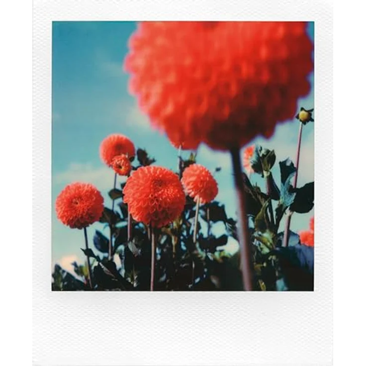 Color SX-70 Sofortbildfilm – Bild 4