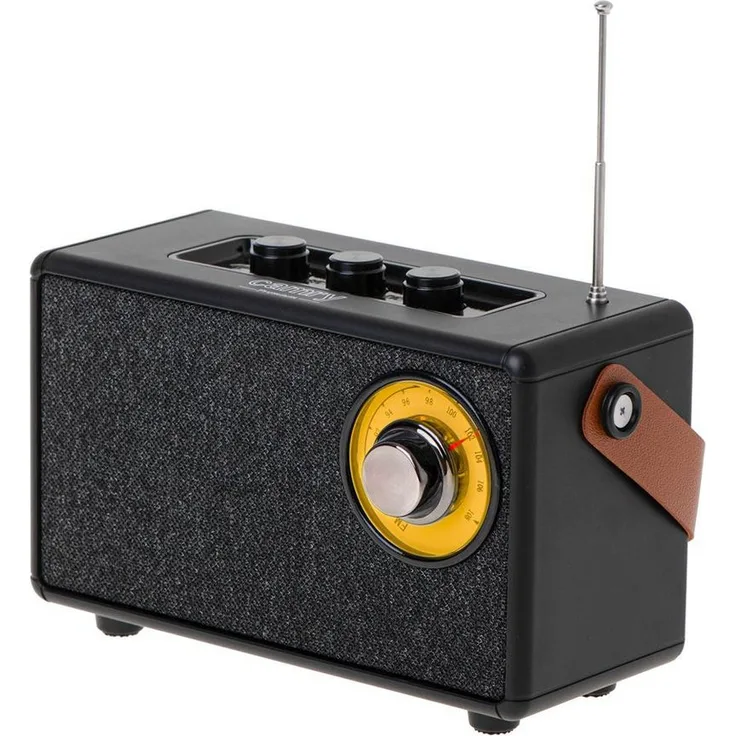 Camry CR 1902 Radio, tragbares FM Küchenradio mit Bluetooth 5.1, AUX, USB und TWS-Funktion, schwarz