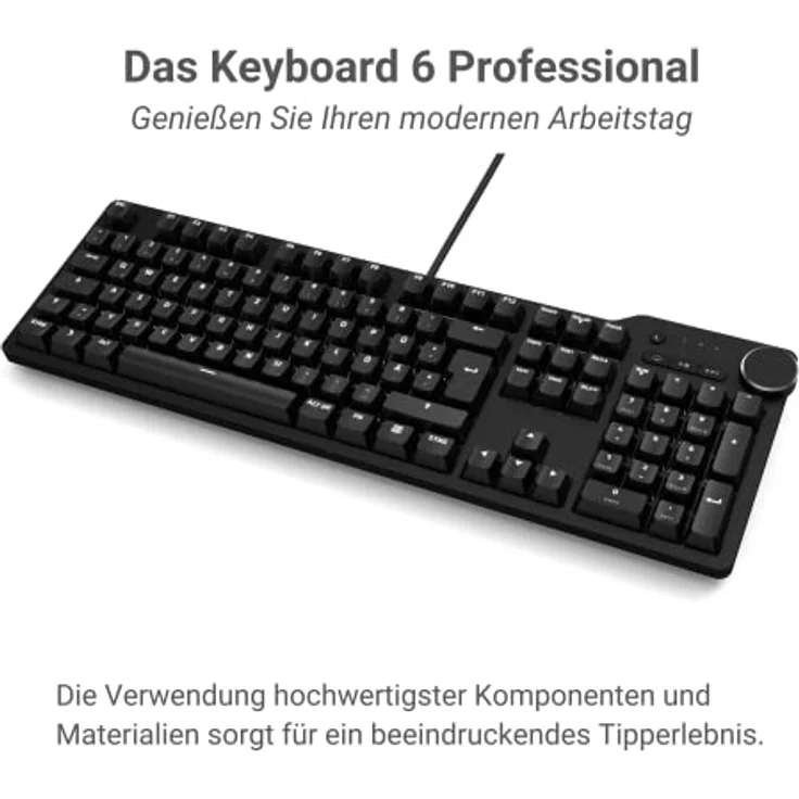 Das Keyboard 6 Professionelle kabelgebundene mechanische Tastatur mit Hintergrundbeleuchtung – Taktile Cherry MX-Schalter, durchscheinende Tastenkappen, 2-Port-USB-C-Hub I DE Layout (Cherry MX Blue) – Bild 2