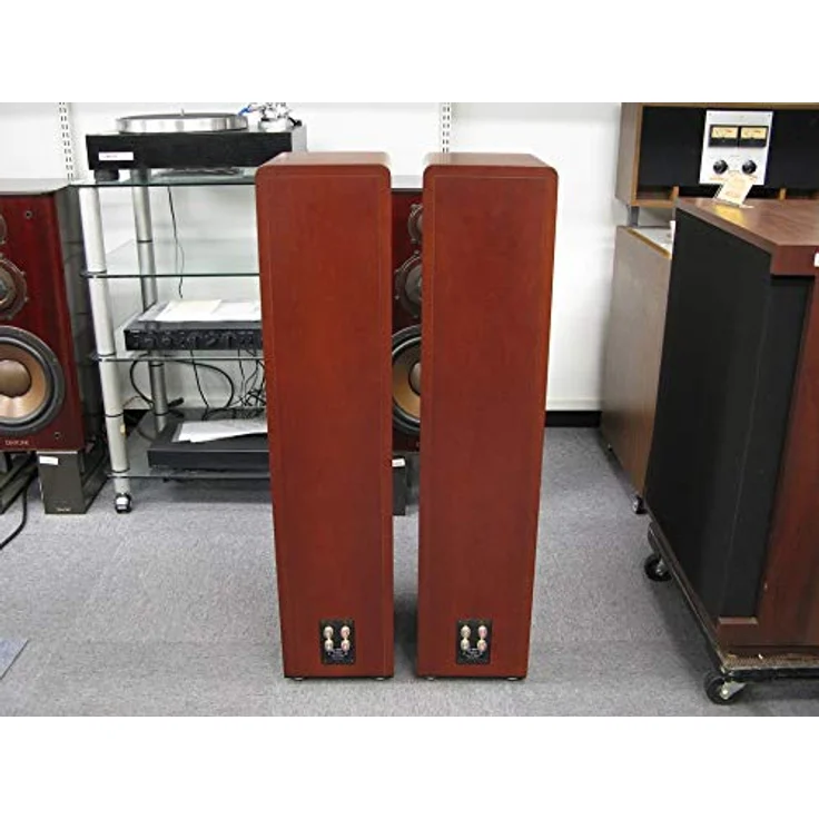 Canton ERGO 690 DC Standlautsprecher – Bild 4