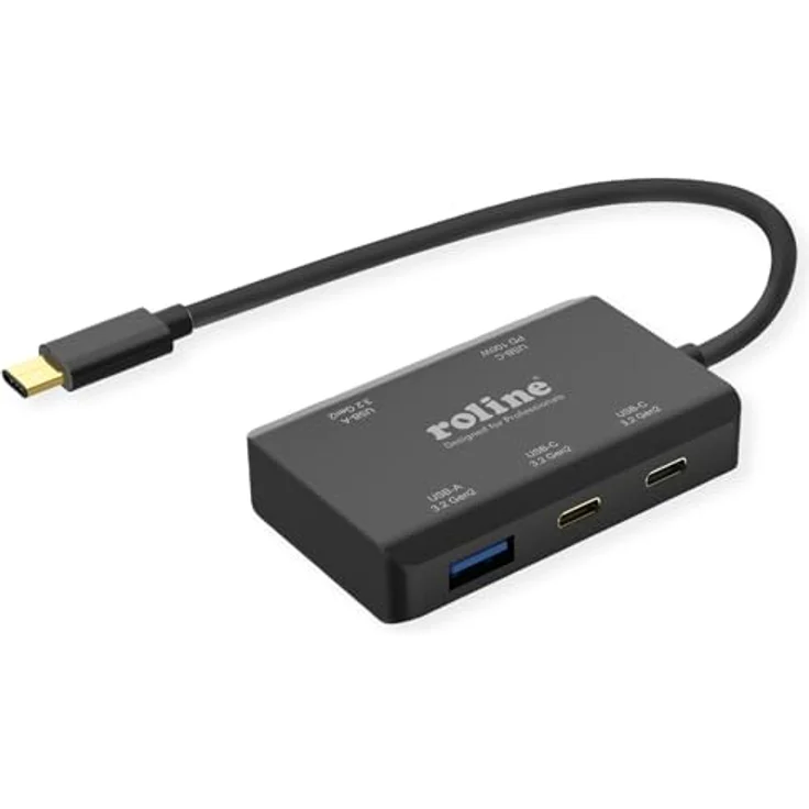 ROLINE USB 3.2 Gen 2 Hub, 4fach (2X USB-A + 2X USB-C), PD, Typ C Anschlusskabel, Schwarz – Bild 1