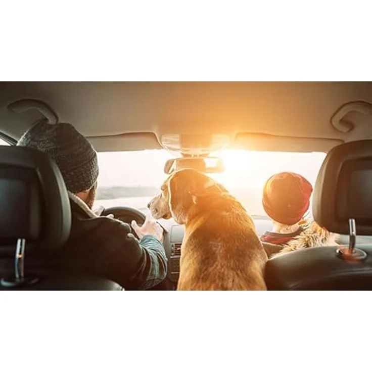 Belkin USB-Kfz-Ladegerät, 24 W, mit 2 Anschlüssen und Lightning-Kabel (Boost Charge Dual-Port Kfz-Ladegerät, 2-Port USB-Auto-Ladegerät) iPhone Kfz-Ladegerät, iPad Kfz-Ladegerät, AirPods Kfz-Ladegerät – Bild 2