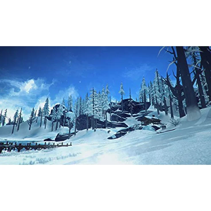 The Long Dark (PS4) – Bild 3