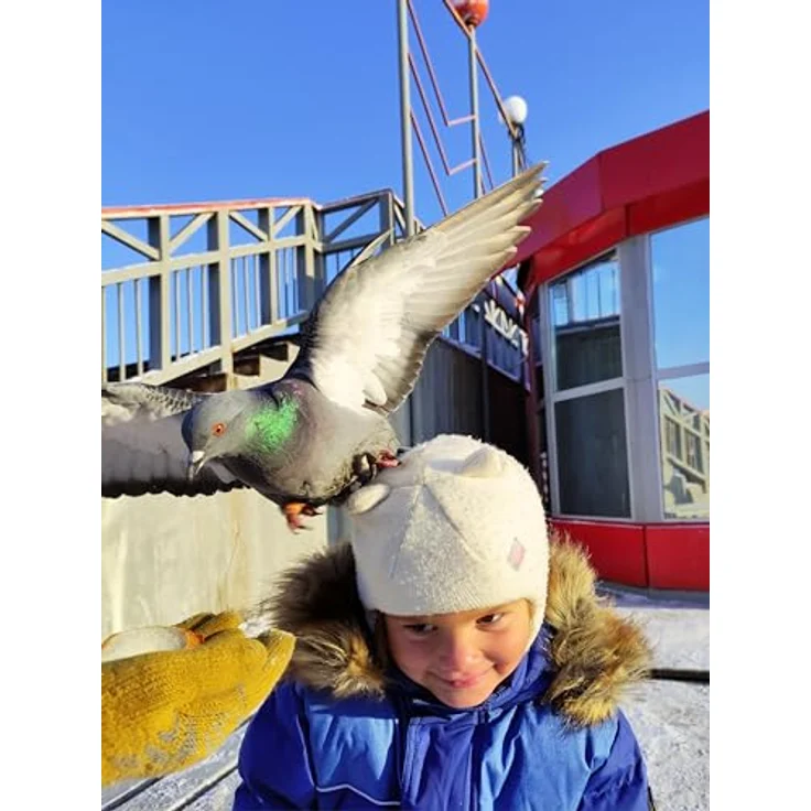 Polaroid Hi-Print 4x6 Paper Cartridge, Sofortbildpapier für Polaroid Hi-Print Drucker, 80 Bögen, Weiss – Bild 6