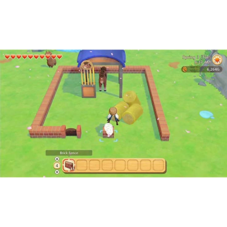 Story of Seasons - Pioneers of Olive Town (Switch) – Bild 6