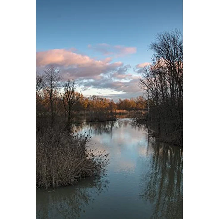 Dörr Digiline Grauverlaufsfilter, 2 Blendenstufen, ND 0,6X, aus stabilem Resin Material, farbneutraler Schraubfilter mit Frontgewinde (55 mm) – Bild 4